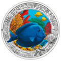 Austria Moneta da 3 euro 2024 -  Vita marina luminosa - Pesce chirurgo blu