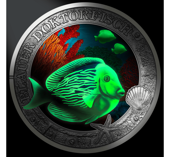 Austria Moneta da 3 euro 2024 -  Vita marina luminosa - Pesce chirurgo blu