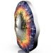 Austria 20 euro Moneta d'argento 2024 – L'universo inesplorato: Supernova