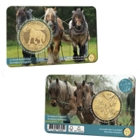 Belgio 2,5 euro BU 2026 - il cavallo da tiro belga - NL+FR