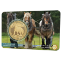 Belgio 2,5 euro BU 2026 - il cavallo da tiro belga