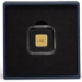 Lettonia 5 euro oro proof 2025 - La nostra terra