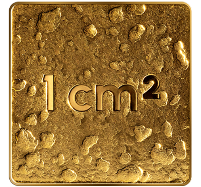 Lettonia 5 euro oro proof 2025 - La nostra terra