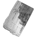 Lettonia 5 euro argento proof 2025 - Gemma