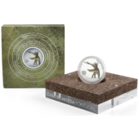 Portogallo 5 euro argento proof 2023 - Miragaia longicollum