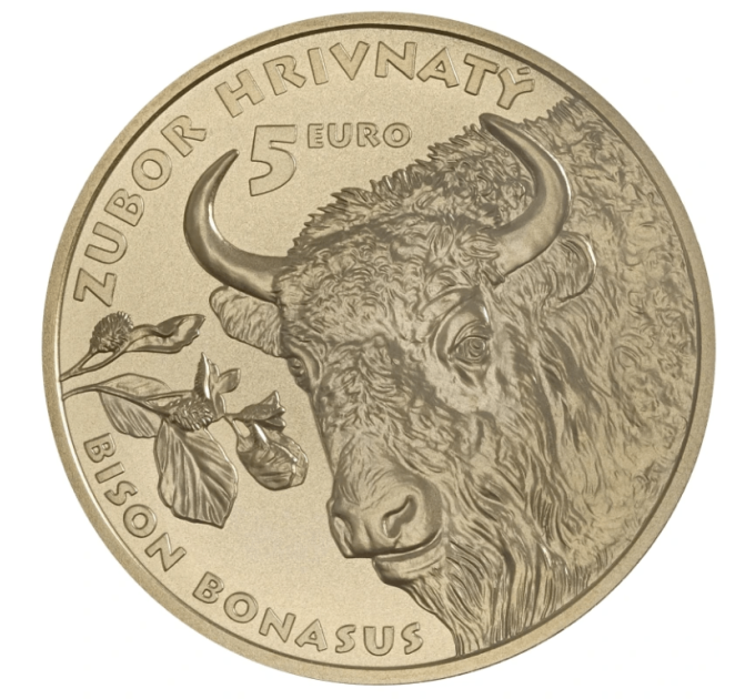 Slovacchia 5 euro UNC 2024 - Fauna e Flora in Slovacchia - Il bisonte europeo