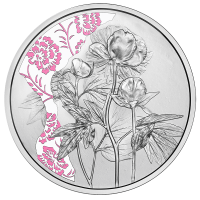  Austria 10 euro  Moneta d'argento Proof 2024 - PEONIA