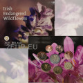 Irlanda euro set BU 2020 - Fiori selvatici irlandesi in via di estinzione