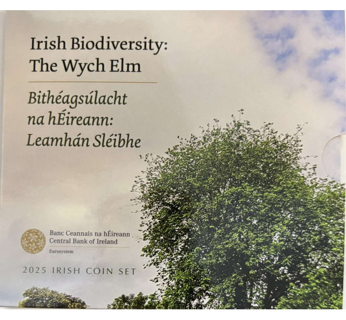 Irlanda euro set BU 2025 - Biodiversità - l'olmo montano