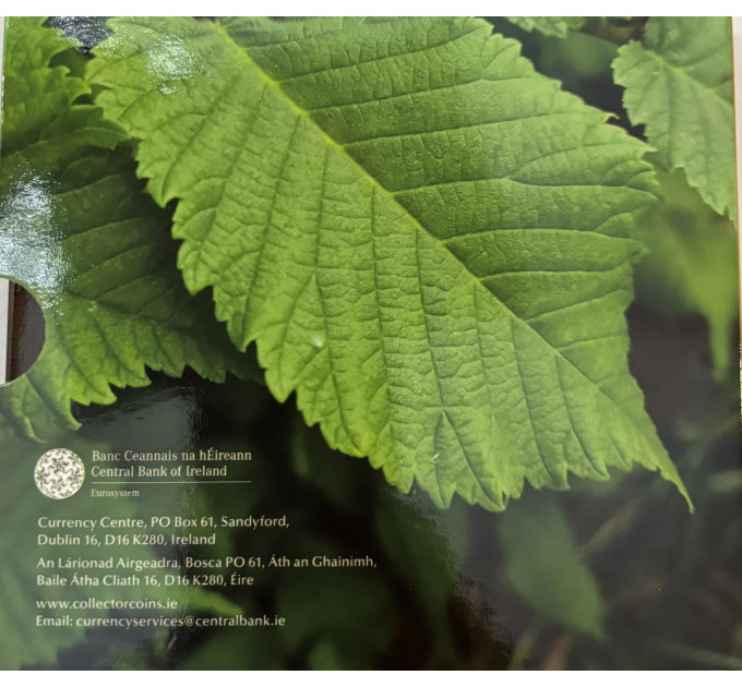 Irlanda euro set BU 2025 - Biodiversità - l'olmo montano