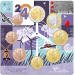 Olanda Serie di monete in euro UNC 2024